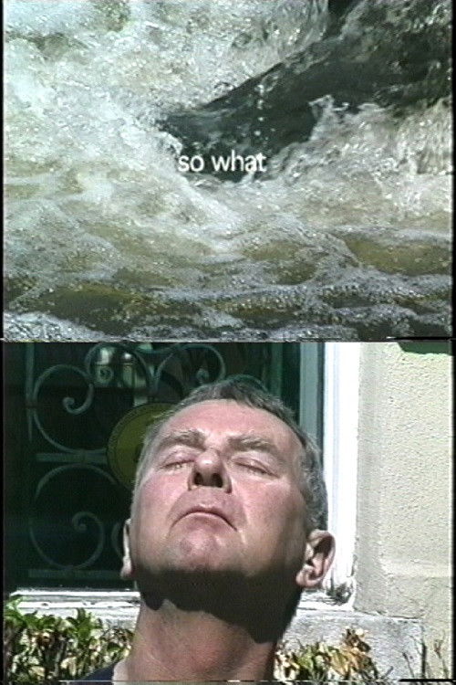 So What? (2004) poster