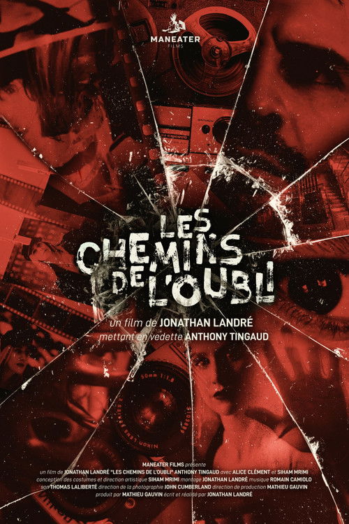Les chemins de l'oubli (2021) poster