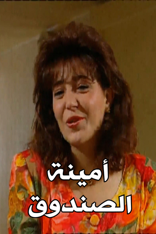 The Female Treasurer (1993) poster