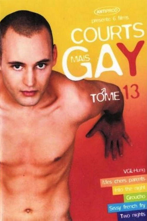 Courts mais Gay : Tome 13 (2007) poster