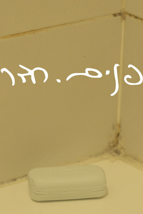 Int.room (2024) poster