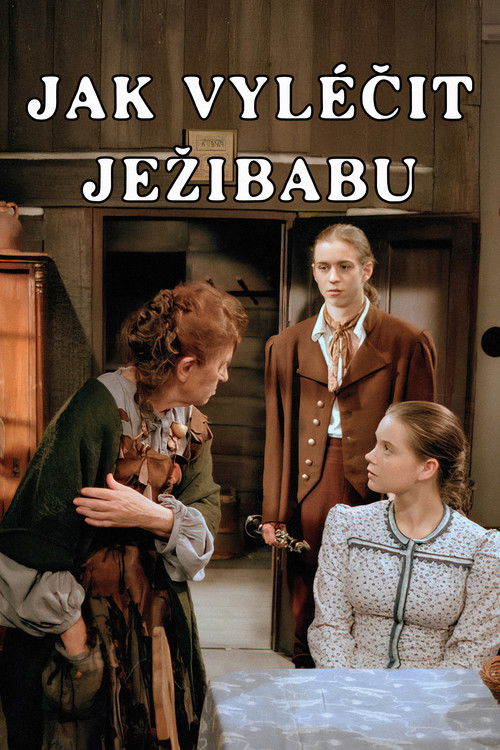 Jak vyléčit Ježibabu (1997) poster