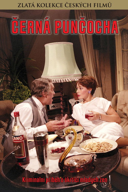 Černá punčocha (1987) poster