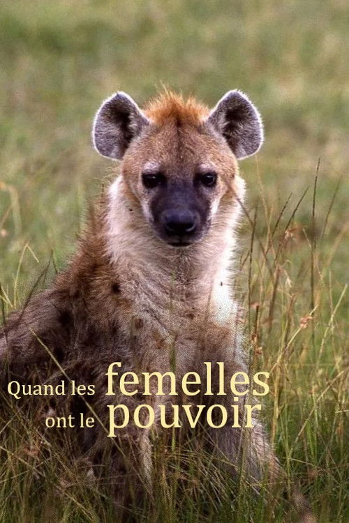 Quand les femelles ont le pouvoir (2023) poster