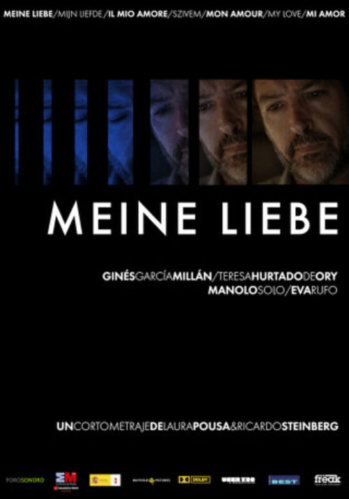 Meine Liebe (2011) poster