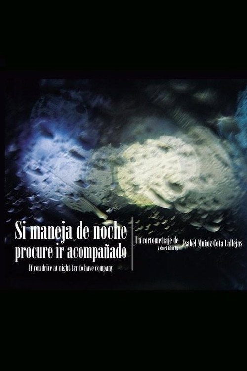 If you Drive at Night try to Have Company (2010) poster
