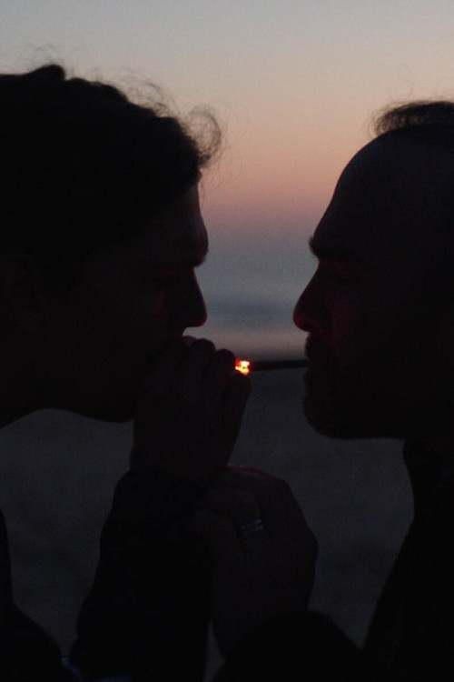 Far from the South (2019) poster