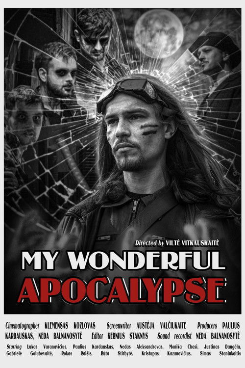 My wonderful Apocalypse (2024) poster