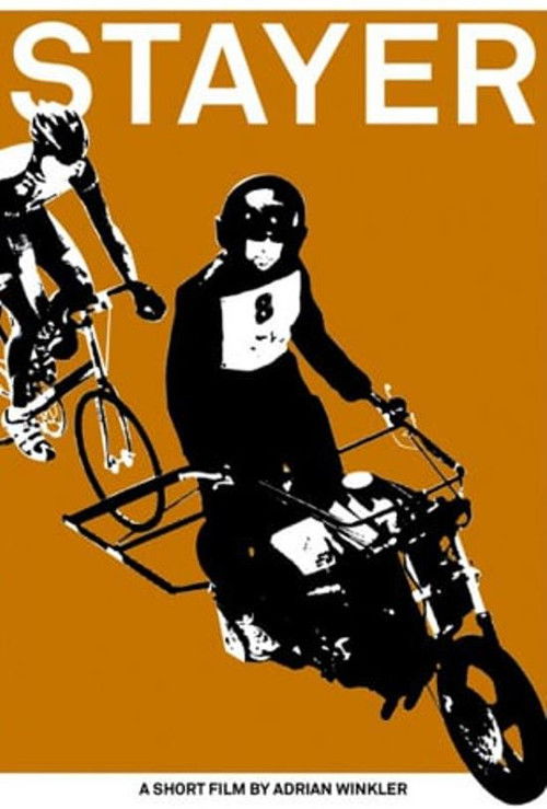 Steher (2012) poster