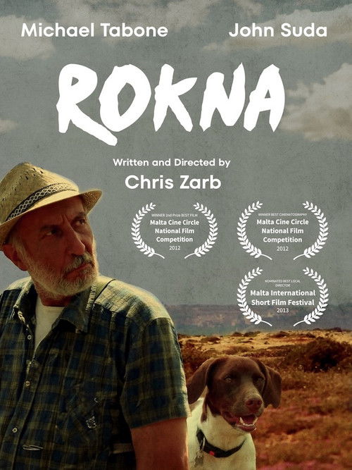 Rokna (2012) poster