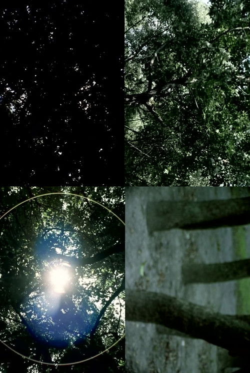 The Pursuit of What Was (2009) poster