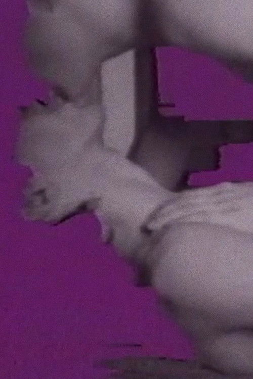 La cage (1983) poster