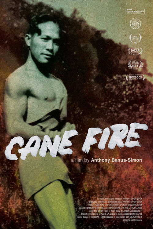 Cane Fire (2020) poster