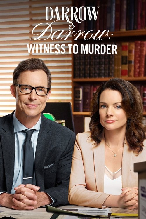 Darrow & Darrow: Witness to Murder (2019) poster