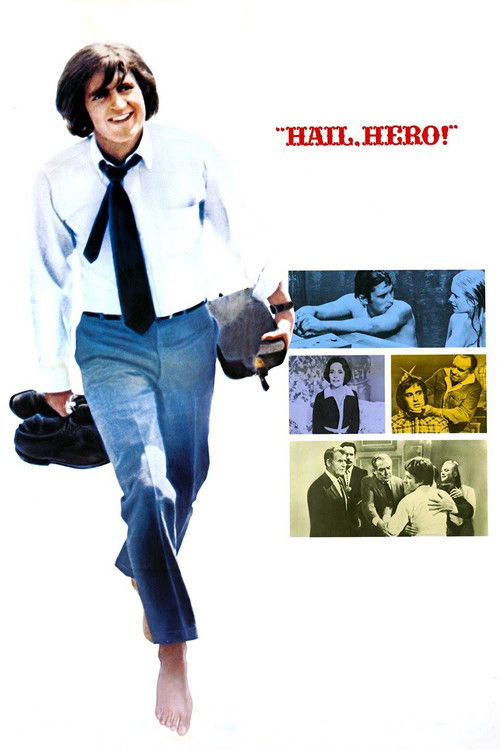 Hail, Hero! (1969) poster
