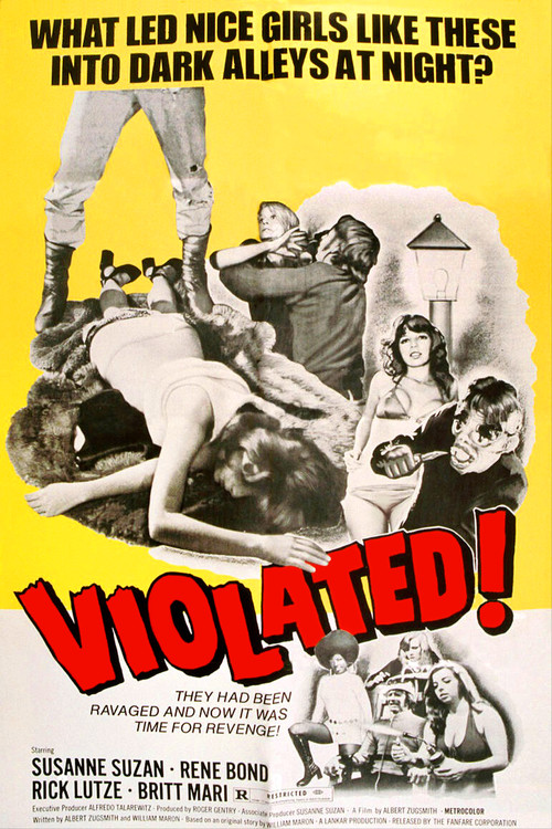 Violated! (1973) poster