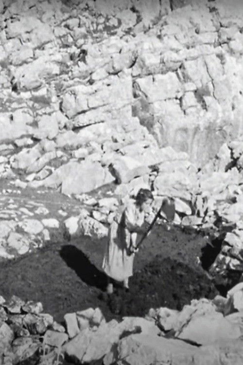 Prisoners of Stones (1959) poster