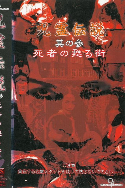Curse Spirit Legend Vol.3: The Town Where the Dead Revive (2004) poster