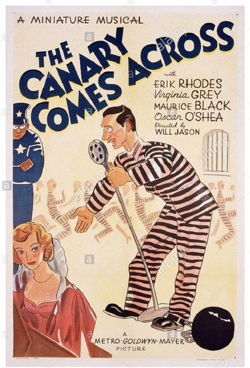 The Canary Comes Across (1938) poster