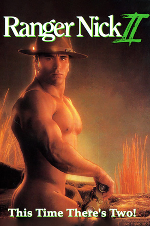 Ranger Nick 2 (1990) poster