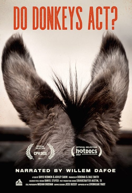 Sanctuary (2017) poster