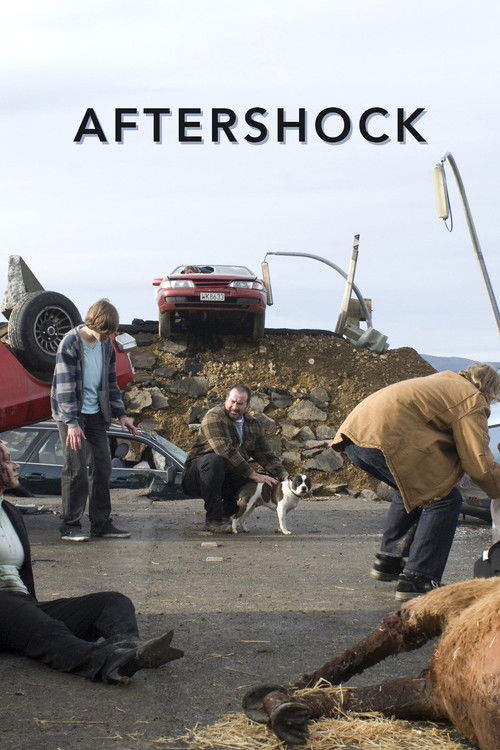 Aftershock (2008) poster