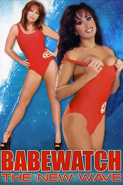 Babewatch 13 (2001) poster