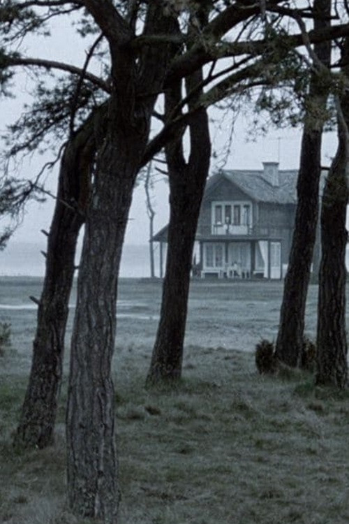 Let Me See (2012) poster