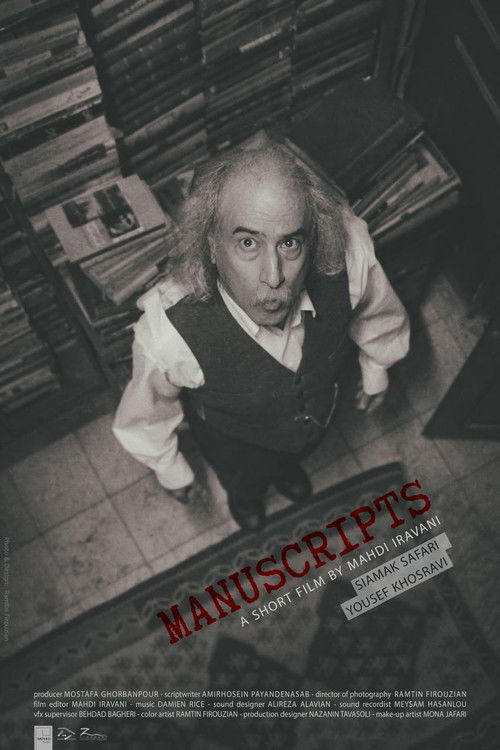 Manuscripts (2024) poster