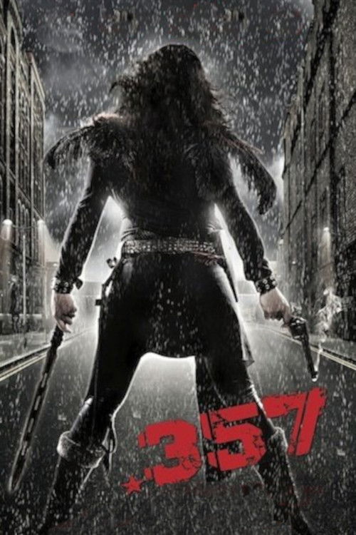 .357 (2013) poster