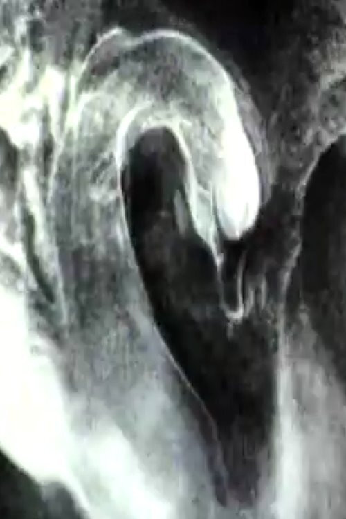 The Swan (1990) poster