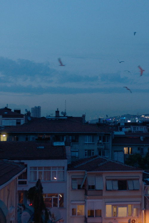 Deceptive Depths (2023) poster