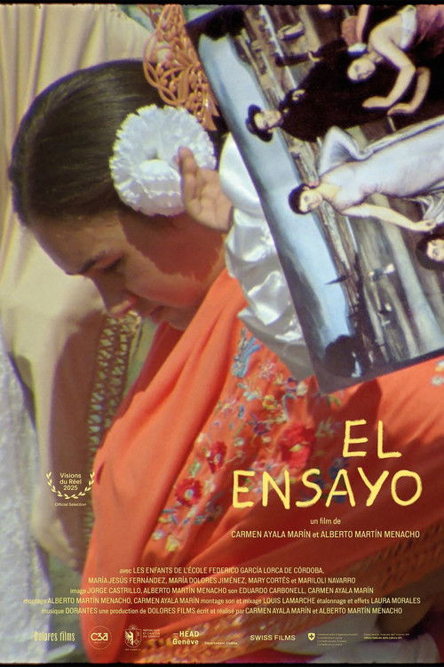 The Essay (2025) poster