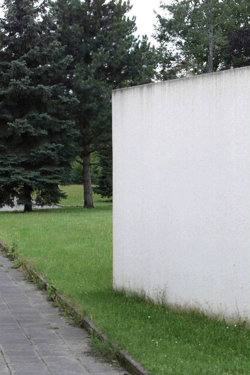 Depth of Field (2017) poster