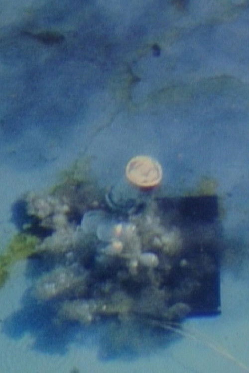 Contained Under Water (1980) poster