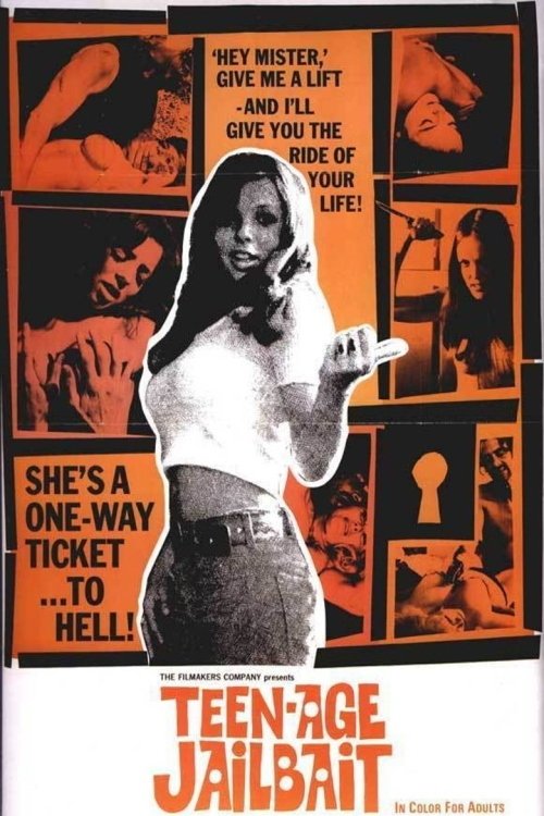 Teen-Age Jail Bait (1973) poster