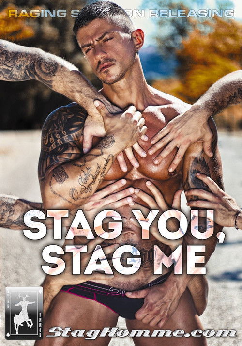Stag You, Stag Me (2014) poster