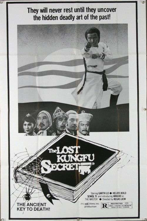 The Lost Kung Fu Secrets (1979) poster