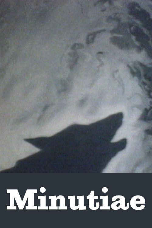 Minutiae (1990) poster
