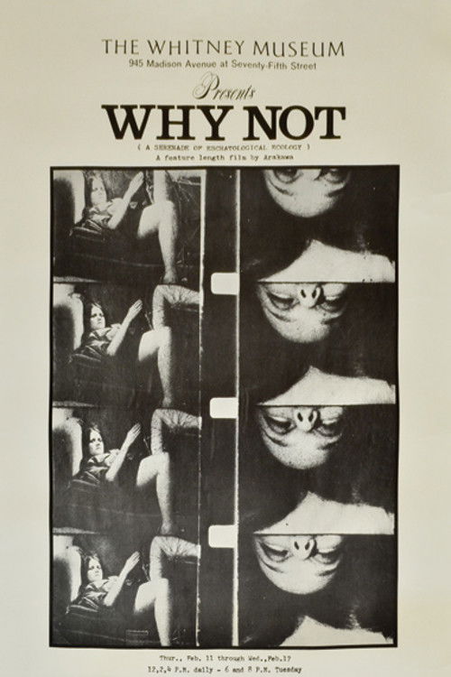 Why Not: A Serenade of Eschatological Ecology (1970) poster