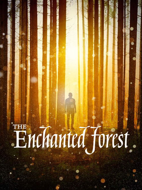 The Enchanted Forest (2020) poster