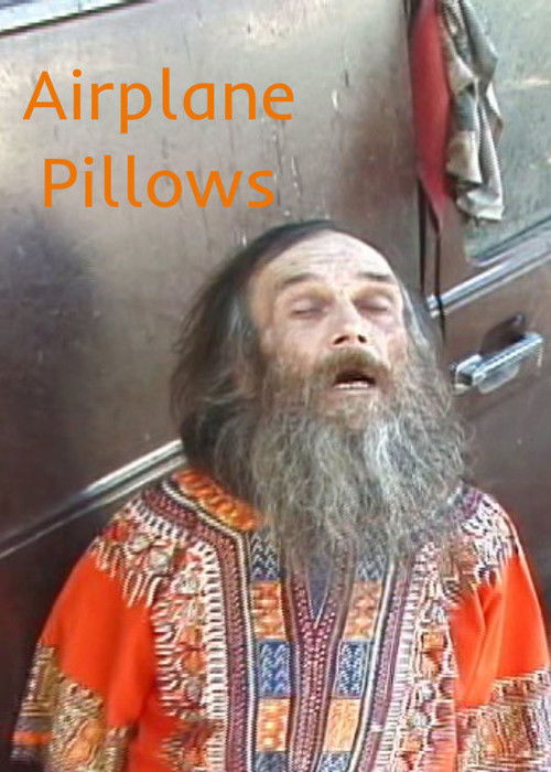 Airplane Pillows (2008) poster