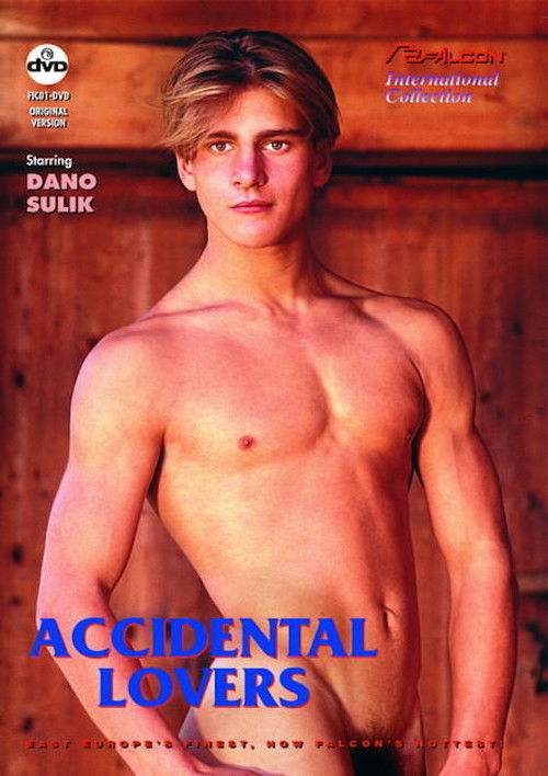Accidental Lovers (1993) poster