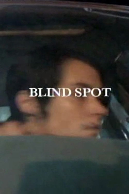 Blind Spot (2009) poster