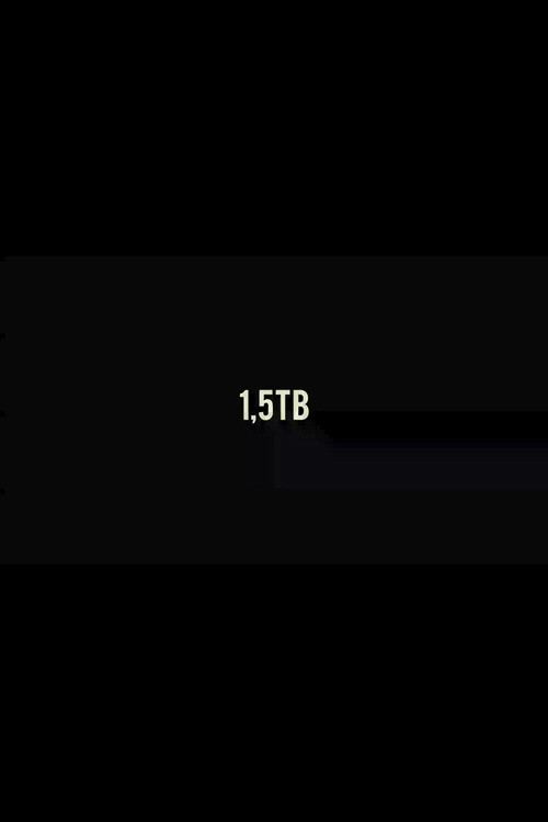 1,5TB (2013) poster
