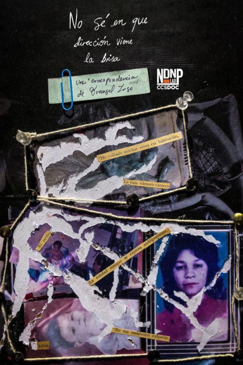 No sé en que dirección viene la brisa (2024) poster