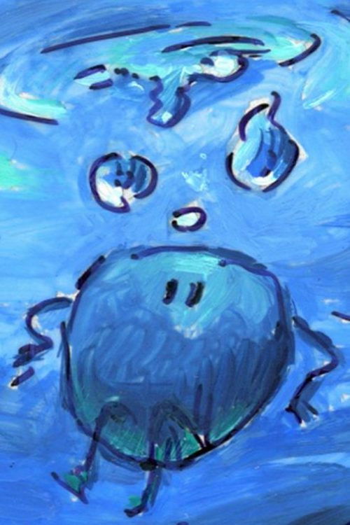 La vie secrète d’Émile Frout (1994) poster