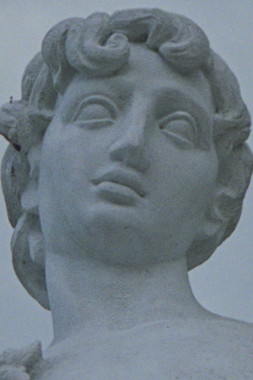 Remapping the Origins (2018) poster