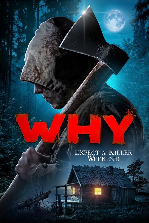 Why? (2021) poster