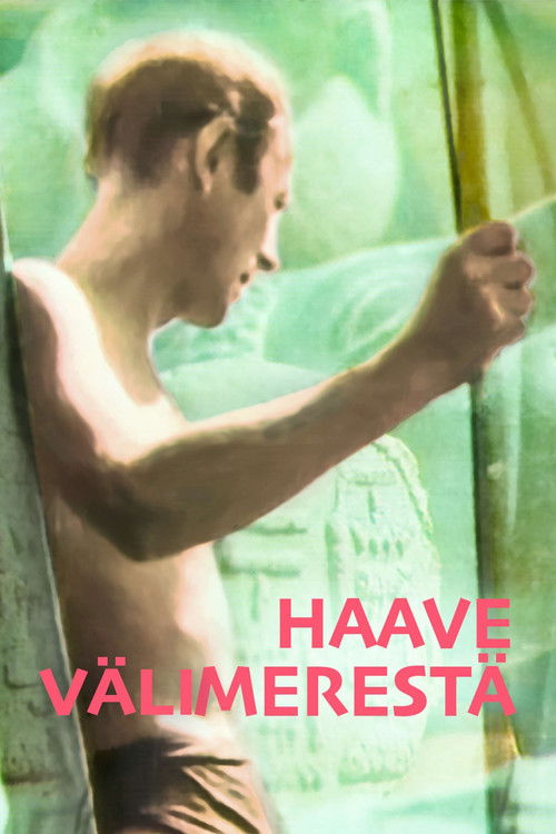 A Dream of the Mediterranean (1991) poster